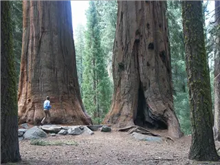 small_040521 caPICT4766.webp